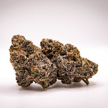 Black Cherry Gelato cannabis flower